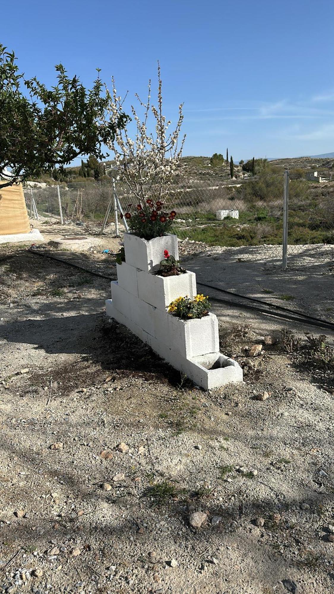 Alojamientos Cuevas Tiana El Aljibete Exterior foto
