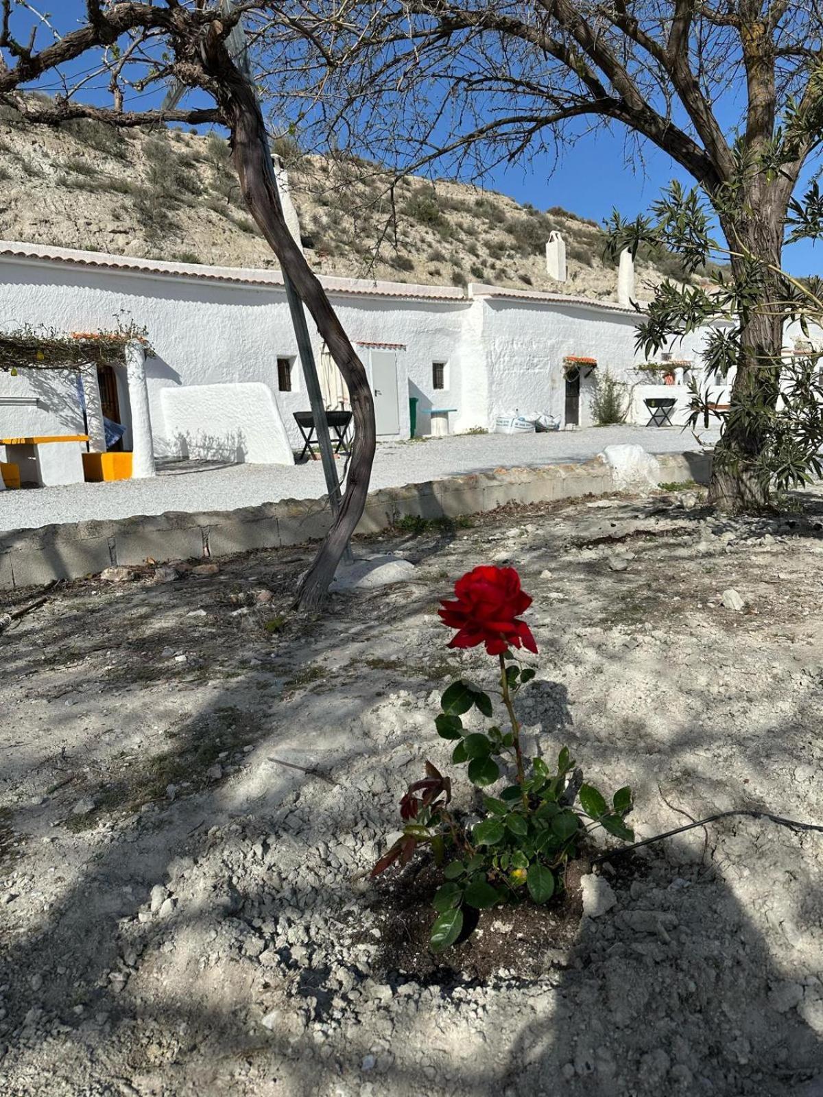 Alojamientos Cuevas Tiana El Aljibete Exterior foto